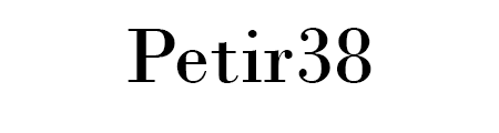 Petir38